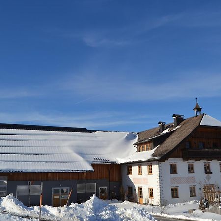Appartamento Vorderreithbauer Hof bei Salzburg Esterno foto
