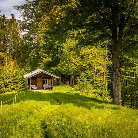 Appartamento Vorderreithbauer Hof bei Salzburg Esterno foto