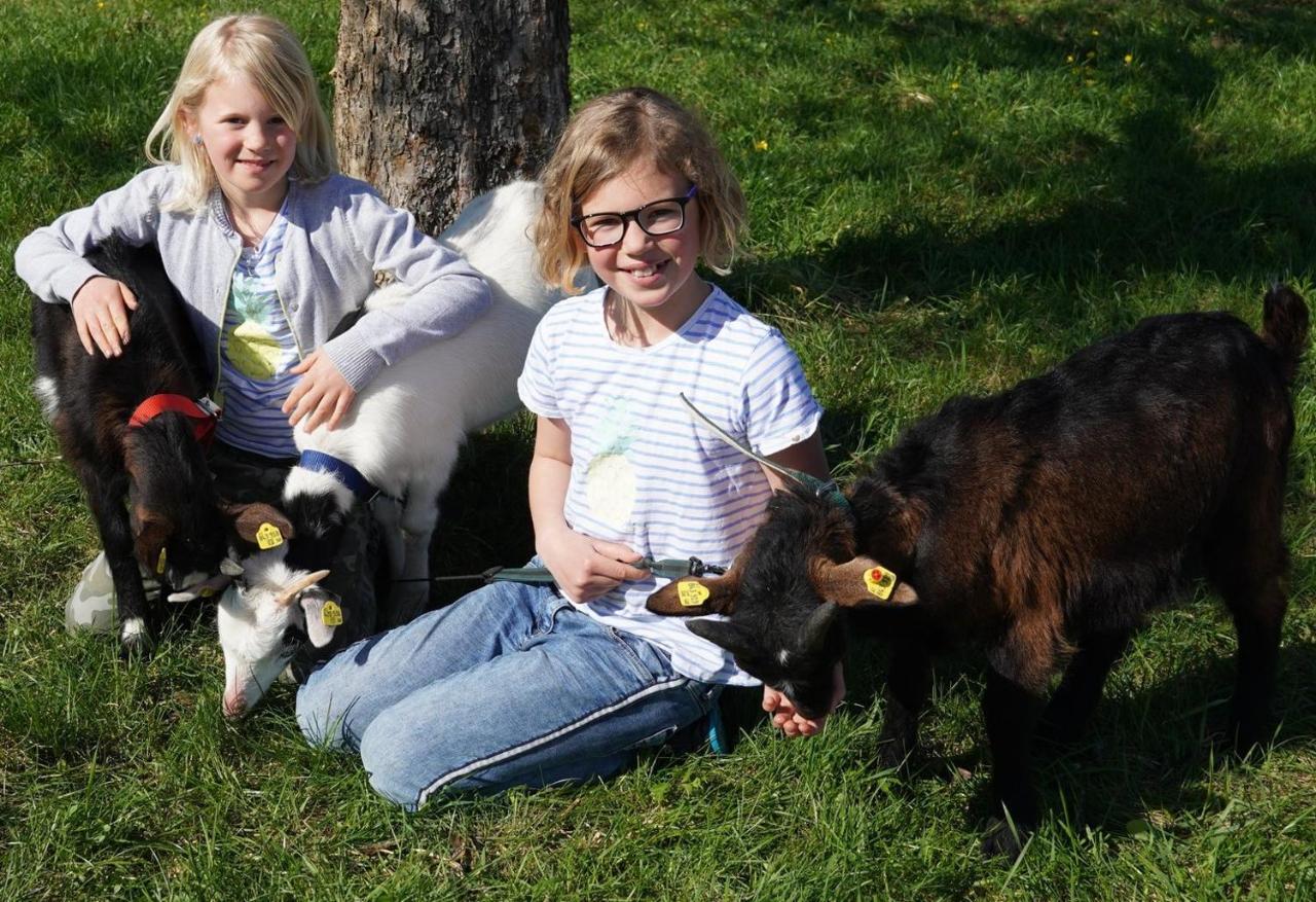 Appartamento Vorderreithbauer Hof bei Salzburg Esterno foto