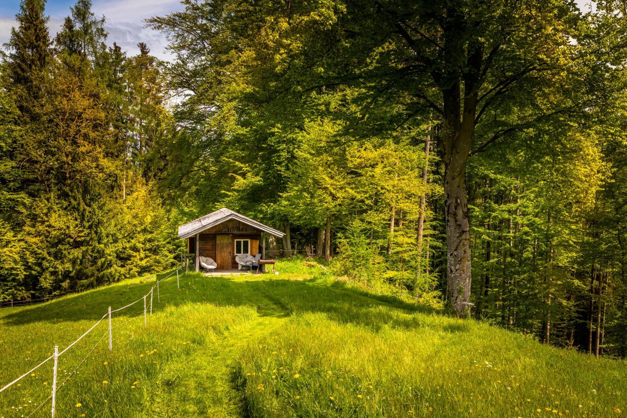 Appartamento Vorderreithbauer Hof bei Salzburg Esterno foto